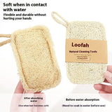 6-Piece Natural Luffa Sponge Collection - 100% Biodegradable & Plant-Based